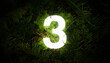 © Timur - Jungle number 3 three