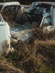 Sticker - Vertical shot of old car rusty vehicles in grass