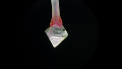 Sticker - Timelapse of the growth of a mineral crystal from a solution physic chemical experiment