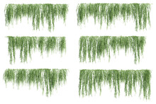 3D Illustration Of A Set Of Creeper Plants, Hanging From The Top