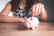 © Artvibe - Young woman  putting a coin inside piggy bank as savings for investment