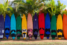 Colorful Surfboards Beach Paia Hawaii