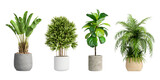 Isometric plant 3d rendering