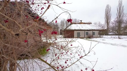 Canvas Print - Viburnum bush in winter garden, Pereiaslav Scansen, Ukraine