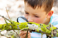 Curious boy is exploring nature with magnifying glass outdoors