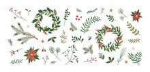 Fir Branches, Wreaths, Leaf, Christmas Decoration. Xmas Floral Design Elements Set. Tree Twigs, Leaves, Berries, Flowers, Natural Decor. Flat Graphic Vector Illustrations Isolated On White Background