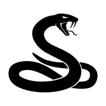 Snake Silhouette Free Stock Photo - Public Domain Pictures