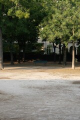 Wall Mural - Scenic view of a park with wooden trees and an old bench in sunlight in Paris, France