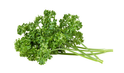 Wall Mural - Parsley isolated on transparent png