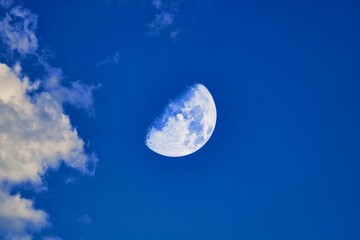 Poster - Beautiful moon in the sky