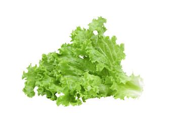 Lettuce salad leaves isolated on transparent png