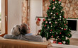 Senior couple, christmas and hug from back view relax on sofa in living room with christmas tree. Love, support and festive holiday celebration or senior man and woman relax on couch together at home