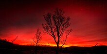 Red Sunset On A Burnt Landscape