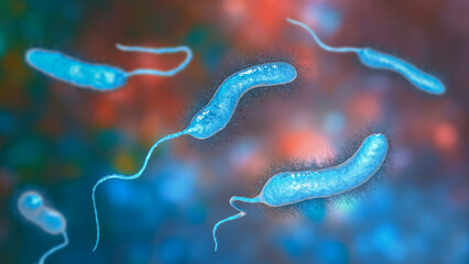 Poster - Vibrio mimicus bacteria