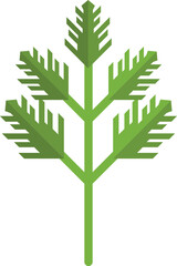 Green cooking herb icon. Cilantro leaves symbol