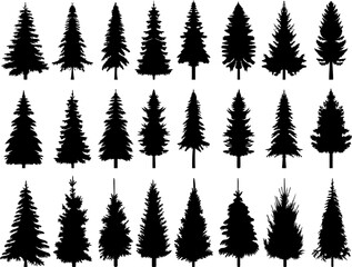 Wall Mural - spruce silhouette, fir trees set design vector isolated