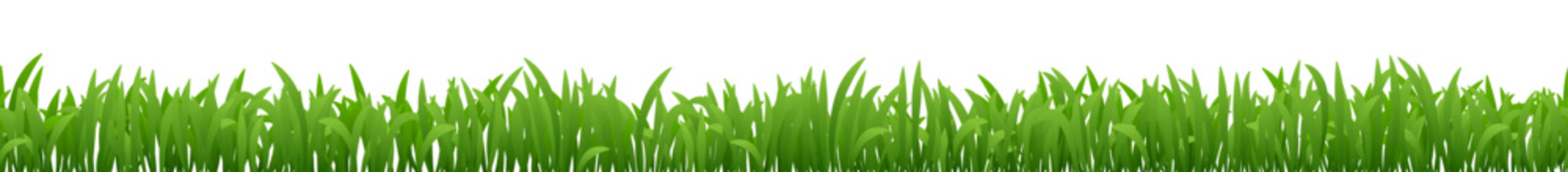 Wall Mural - Green grass horizontal border. Growing meadow plants