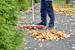Person sweeping leaves 