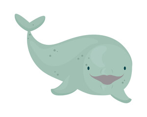 Poster - beluga whale design