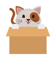 Poster - cat in a box