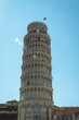 Tower of Pizza Italy