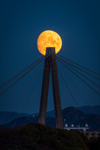 Moon At The Bridge