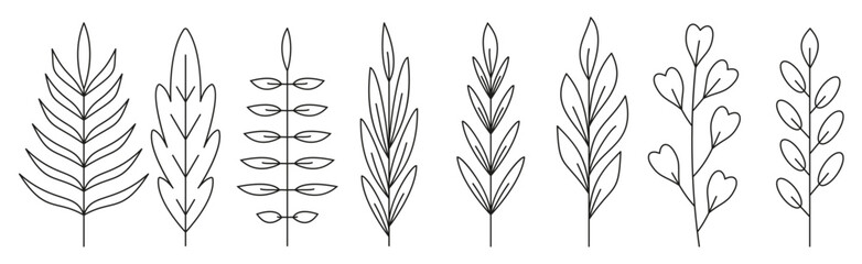  Branch leaf black line icon set. Outline forest plant herbal deciduous tree foliage. Coloring book page floral spring sprout. Linear organic leaves of tropical palm tree, rowan, maple, eucalyptus
