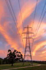 Wall Mural - high-voltage power lines passing through a green field.