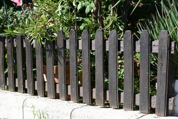 Sticker - Low wooden fence near beautiful plants outdoors on sunny day