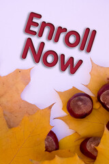 Poster - Autumn leaves, objects with Enroll Now text. Natural patterns, color design.