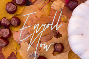 Poster - Autumn leaves, objects with Enroll Now text. Natural patterns, color design.