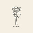 Line art water lily flower illustration