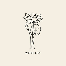 Line Art Water Lily Flower Illustration