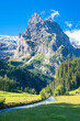 Wunderschöne Rosenlaui Schlucht im Morgenlicht im Berner Oberland in der Schweiz. Schöner Sommertag mit saftiger Wiese und Bergen im Hintergrund