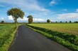 Narrow road between green fields surrounded by trees with a cloudy blue sky in the background