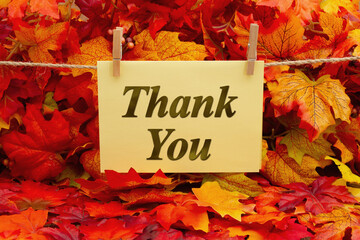 Canvas Print - Thank you greeting card with fall leaves