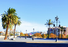 Palm Trees And Street Lamps On A Pedestrian Street In City At Buildings And Houses. Pedestrian Crossing. Valencia City Street, Road Traffic, Cars On Road, People And Buildings. Urban Architecture.