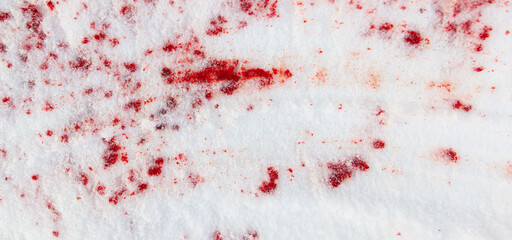 Canvas Print - Drops of blood on white snow