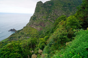 Poster - green landscape with the mountains of madeira