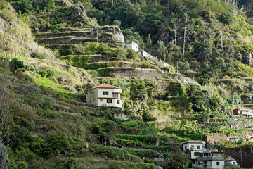 Wall Mural - hillside settlement on madeira island