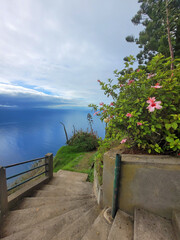 Wall Mural - cenic view over the coast of madeira