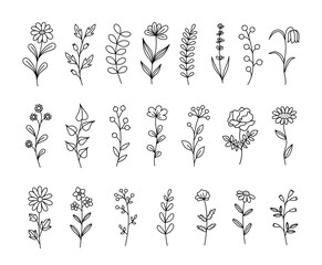Wall Mural - Set of herbs and wildflowers. Line art. Hand drawn floral elements. Vector botanical illustration.