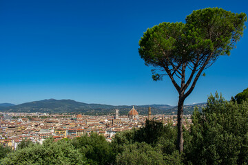 FIRENZE - PANORAMICA	
