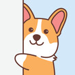 Cute corgi dog peeking cartoon, vector illustration