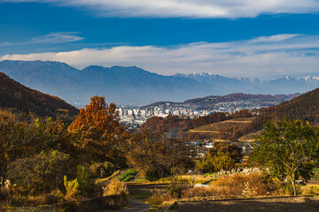 Canvas Print - 冠雪した北アルプスを望む高台からの風景　