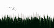 silhouette black forest , nature design vector isolated