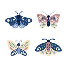 Set Of Moths And Butterflies In Colored Doodle Flat Style