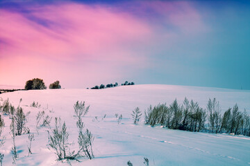 Poster - Hilly field covered with snow. Snowy winter rural landscape during sunset with colorful sky