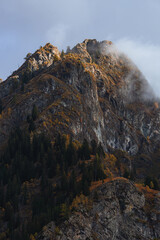 Wall Mural - Autumn colors during the early morning, between the mountains and woods of the Antrona valley, near the town of Antronapiana, Italy - October 2022.