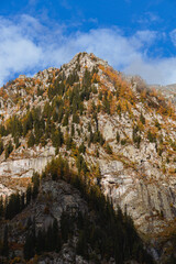 Wall Mural - Autumn colors during the early morning, between the mountains and woods of the Antrona valley, near the town of Antronapiana, Italy - October 2022.